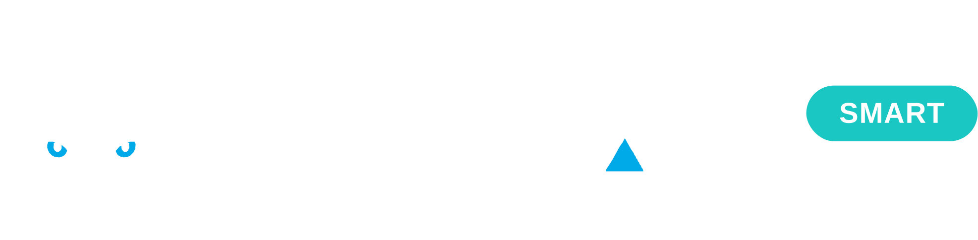 Zerval Smart